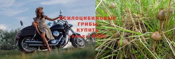 СК Бугульма