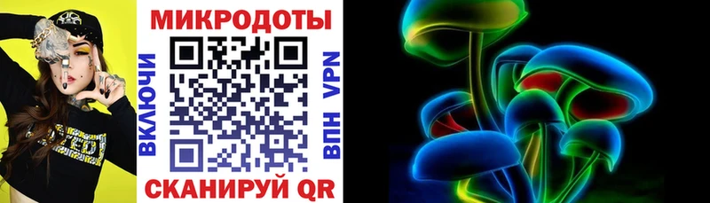 Галлюциногенные грибы Psilocybe  Тбилисская 